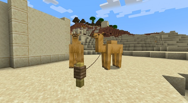 How to Breed Camels in Minecraft 1.20 (Easy Guide)